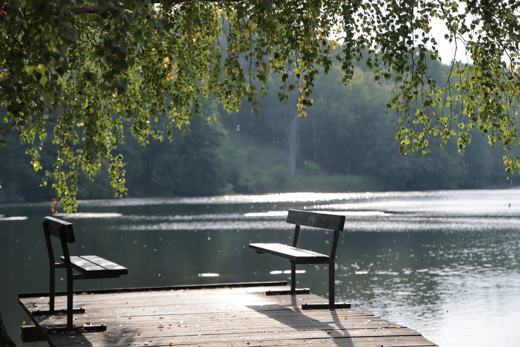 Two benches by a still lake in morning light