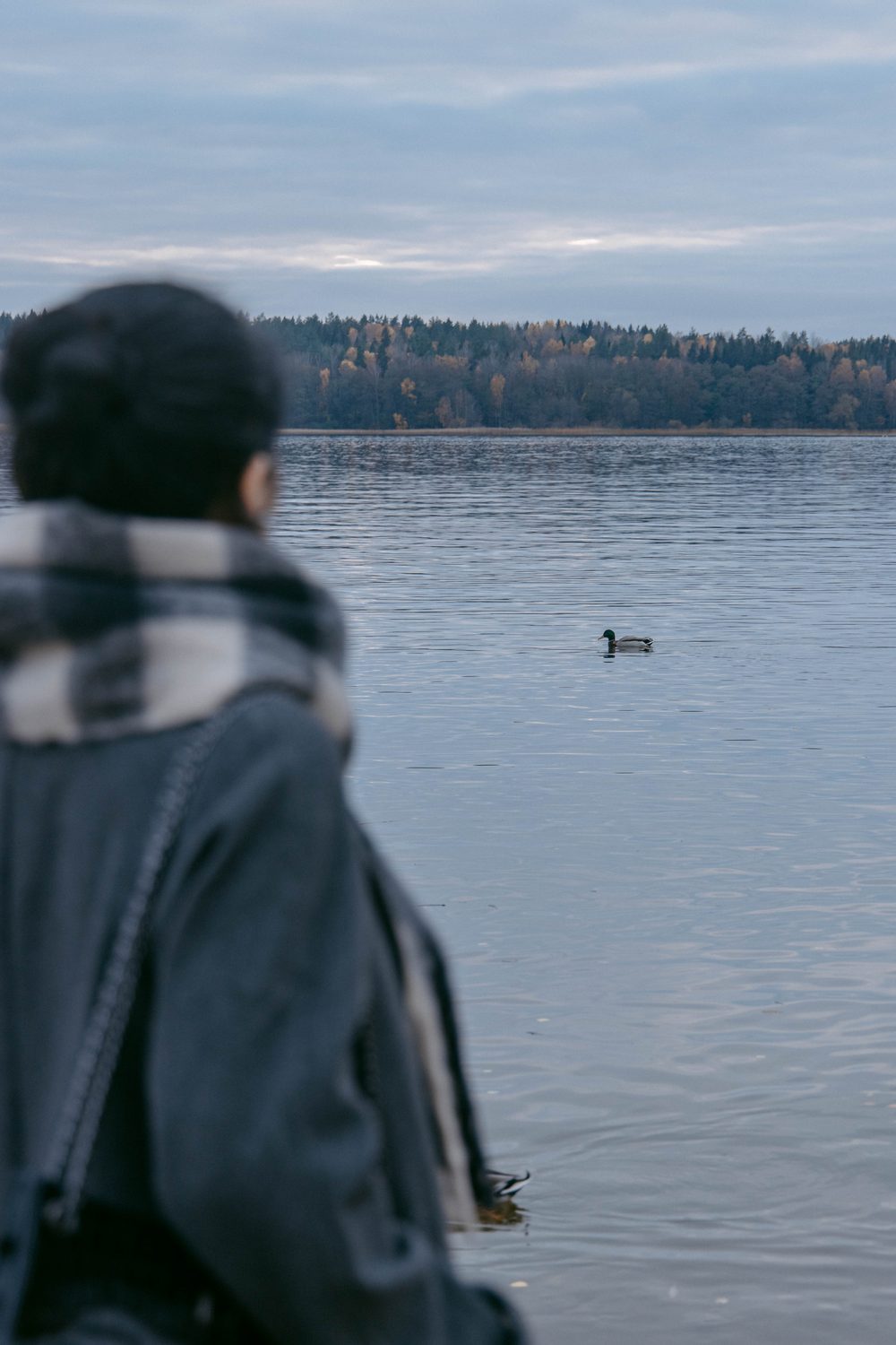 A quiet morning by the lake